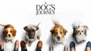 A Dog's Journey (2019)