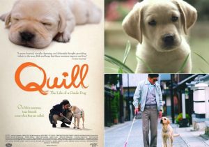 8 หนังเจ้าตูบ เรื่องราวความน่ารัก ซาบซึ้งและกินใจ
