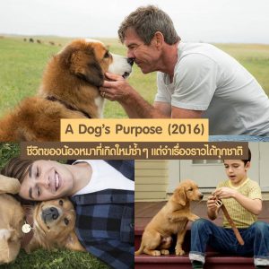 A Dog's Purpose (2016)