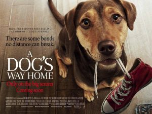 A Dog's Way Home (2019)