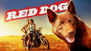 Red Dog